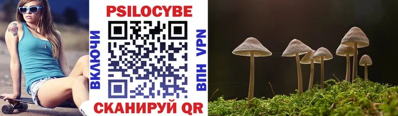 продажа наркотиков  Карасук  Псилоцибиновые грибы ЛСД 